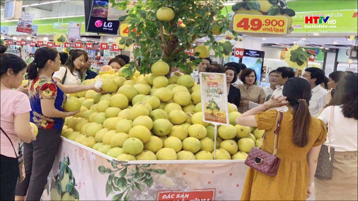 Hương Khê: Giá trị sản xuất Bưởi Phúc Trạch đạt gần 590 tỷ đồng