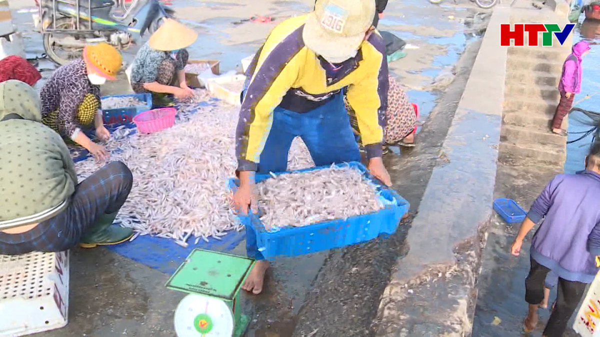 Thời tiết thuận lợi, sản lượng khai thác thuỷ hải sản tăng cao