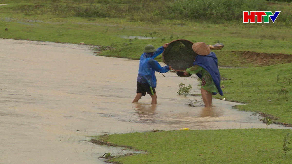 Nhiều người dân liều mình đánh bắt cá giữa mưa lũ