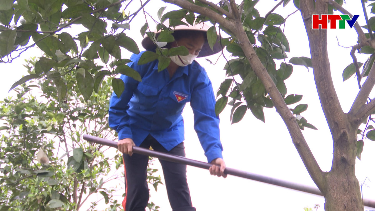 Vũ Quang: Tập trung chăm sóc cây ăn quả sau thu hoạch