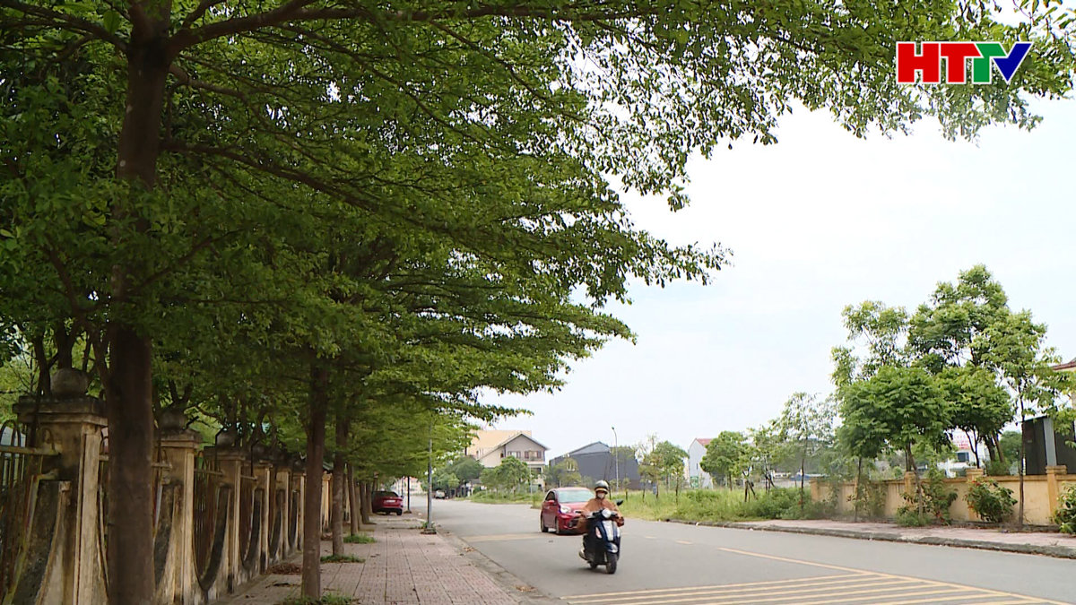 Hiện thực hóa kế hoạch 100 ngàn cây xanh đô thị
