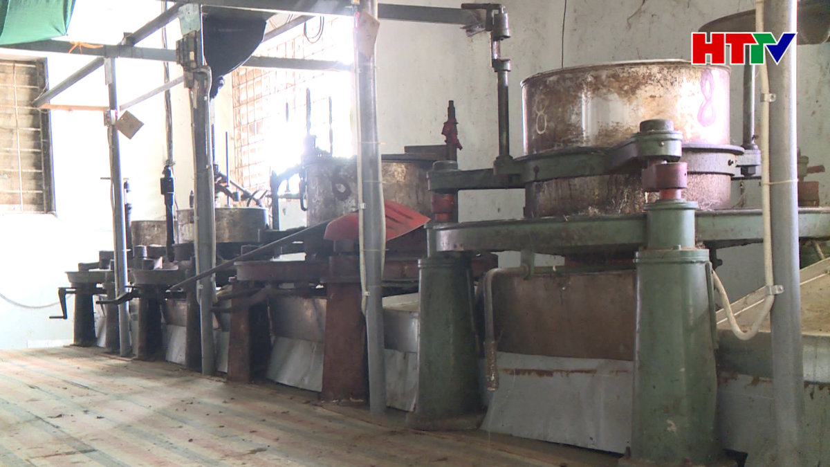 Đầu tư "trái nghề", nhà máy chè Tây Sơn "đắp chiếu"