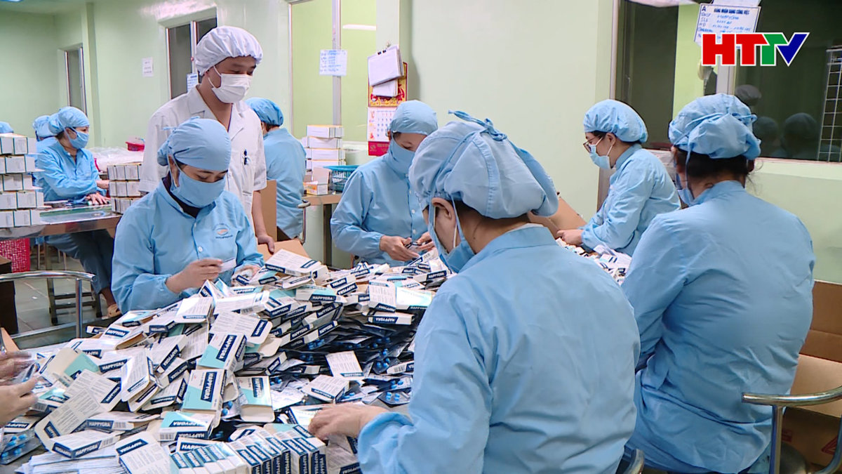 Lần đầu tiên Hà Tĩnh thu trên 8.000 tỷ đồng từ hoạt động xuất nhập khẩu