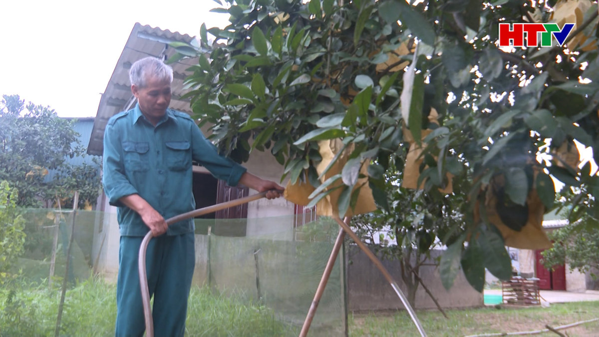 Hương Khê chống hạn cho cây ăn quả