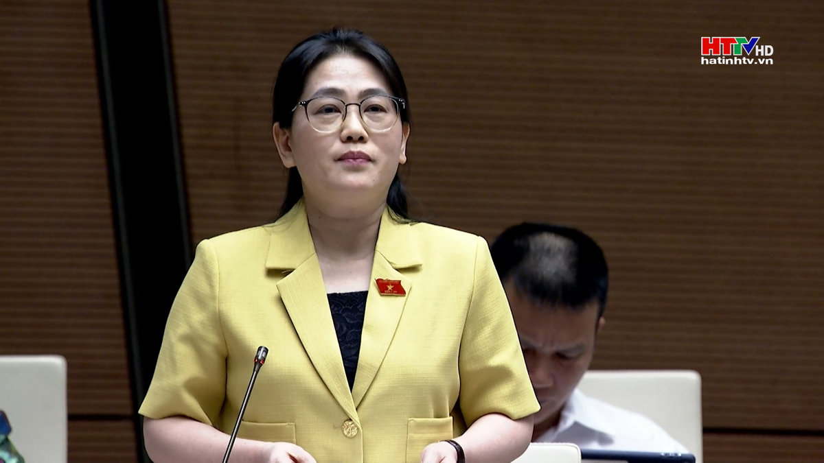 Đại biểu Hà Tĩnh tham gia thảo luận dự án Luật Tổ chức TAND (sửa đổi)