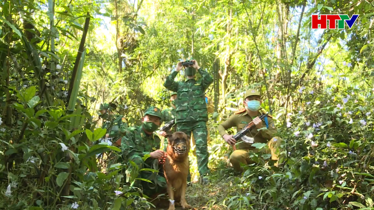 Chặn dịch từ Cửa khẩu Quốc tế Cầu Treo