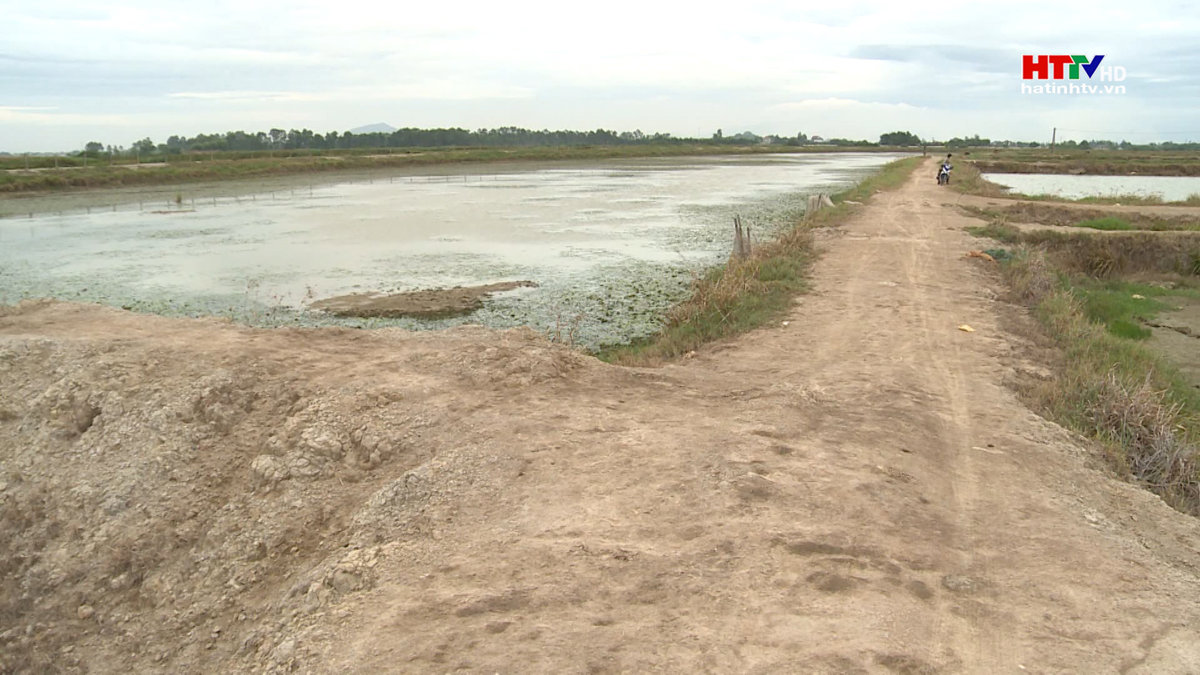 Sớm thu hồi 120 ha đất nuôi trồng thủy sản không phát huy hiệu quả