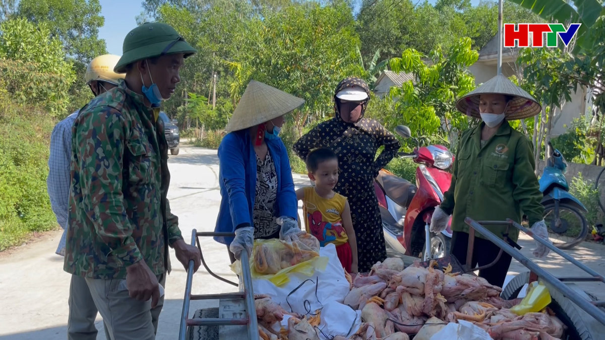 Hệ thống quạt gió gặp sự cố, hơn 8.000 con gà của 1 hộ dân bị ngạt