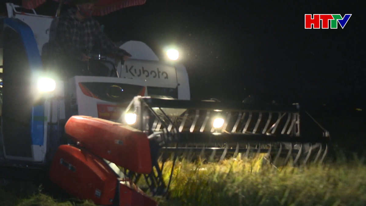 Nông dân Hà Tĩnh chong đèn gặt lúa