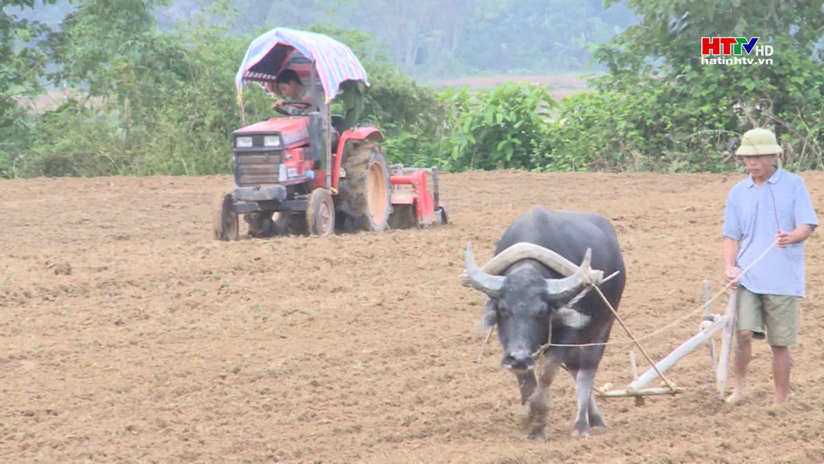 Hương Khê dự kiến hỗ trợ 2,5 tỷ đồng sản xuất vụ Đông