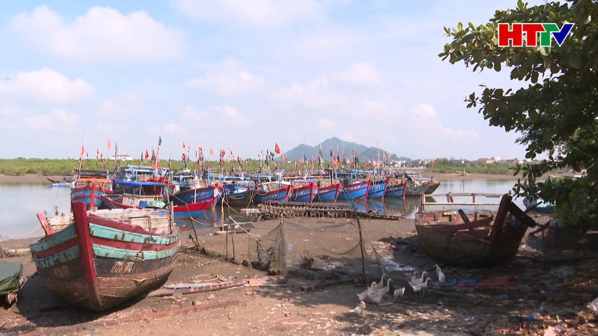 Hàng trăm hợp tác xã hoạt động cầm chừng, kém hiệu quả