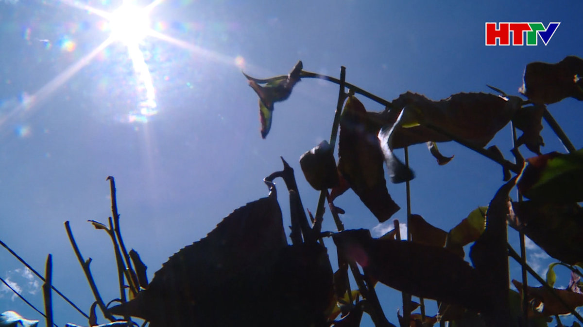 Ưu tiên tối đa nguồn nước sinh hoạt khi xẩy ra hạn hán