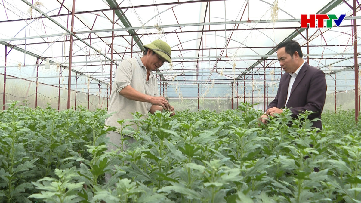 Các làng hoa rộn ràng vào vụ Tết