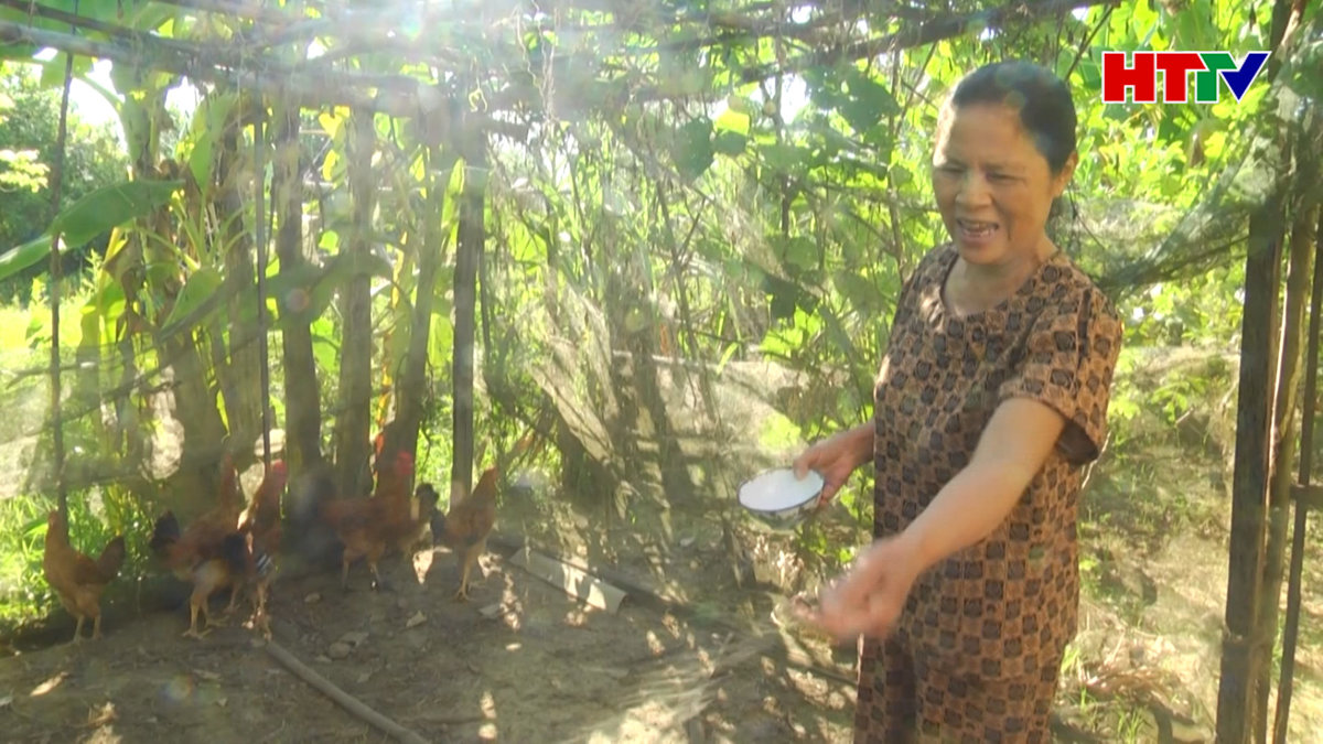 Khi nông dân được hưởng lương hưu