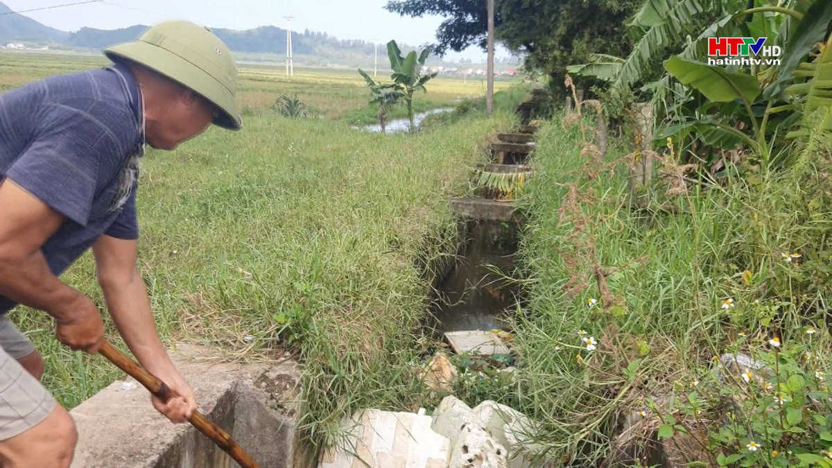 Sớm giải quyết tình trạng ô nhiễm trên kênh N1