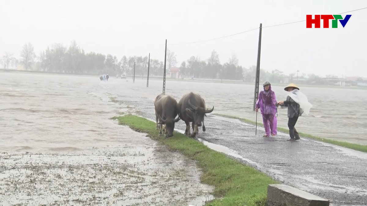 Hà Tĩnh chủ động linh hoạt ứng phó với mưa lũ