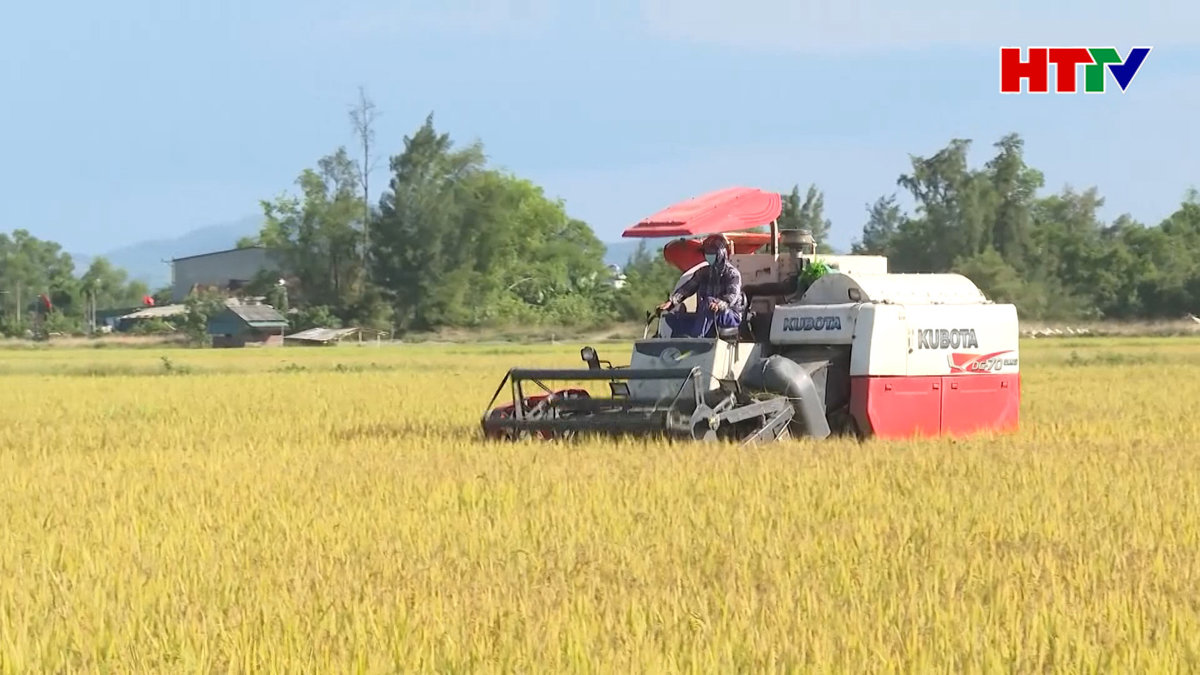 Hà Tĩnh đẩy mạnh dồn diền, đổi thửa