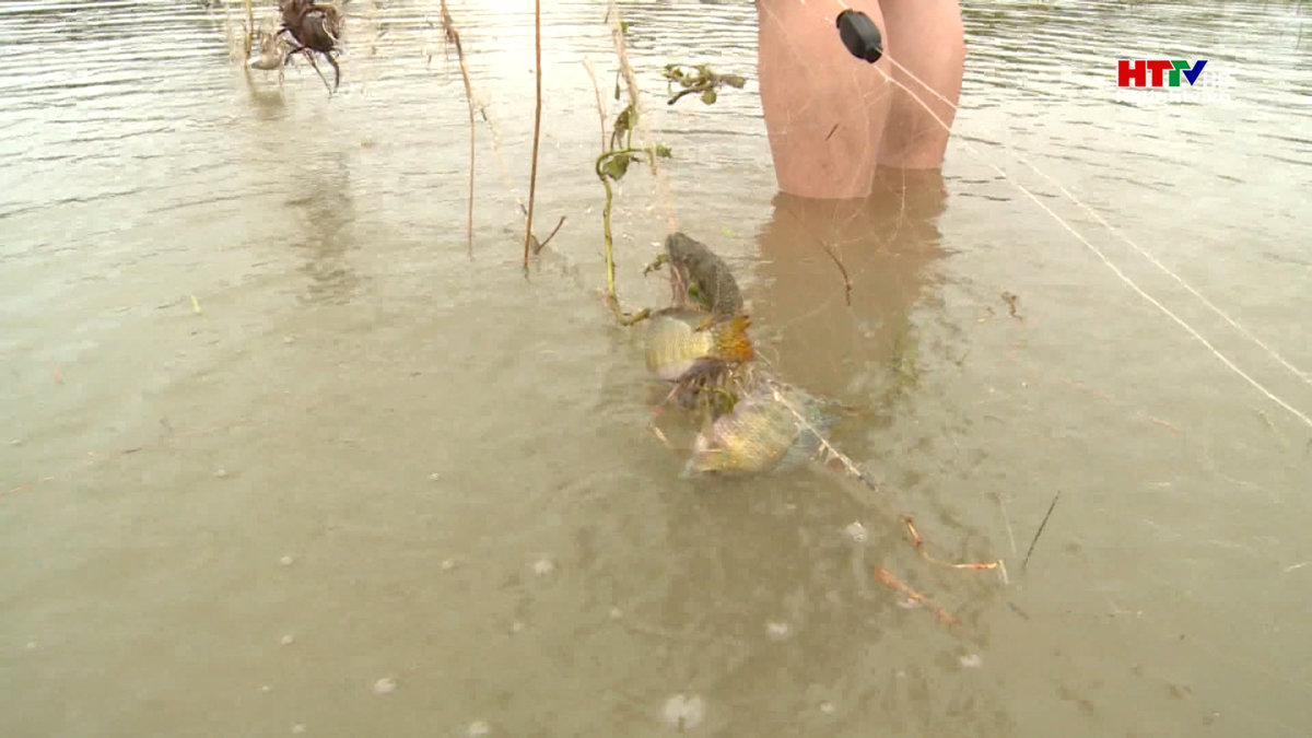 Đánh bắt cá trong mưa, một người đàn ông tử vong