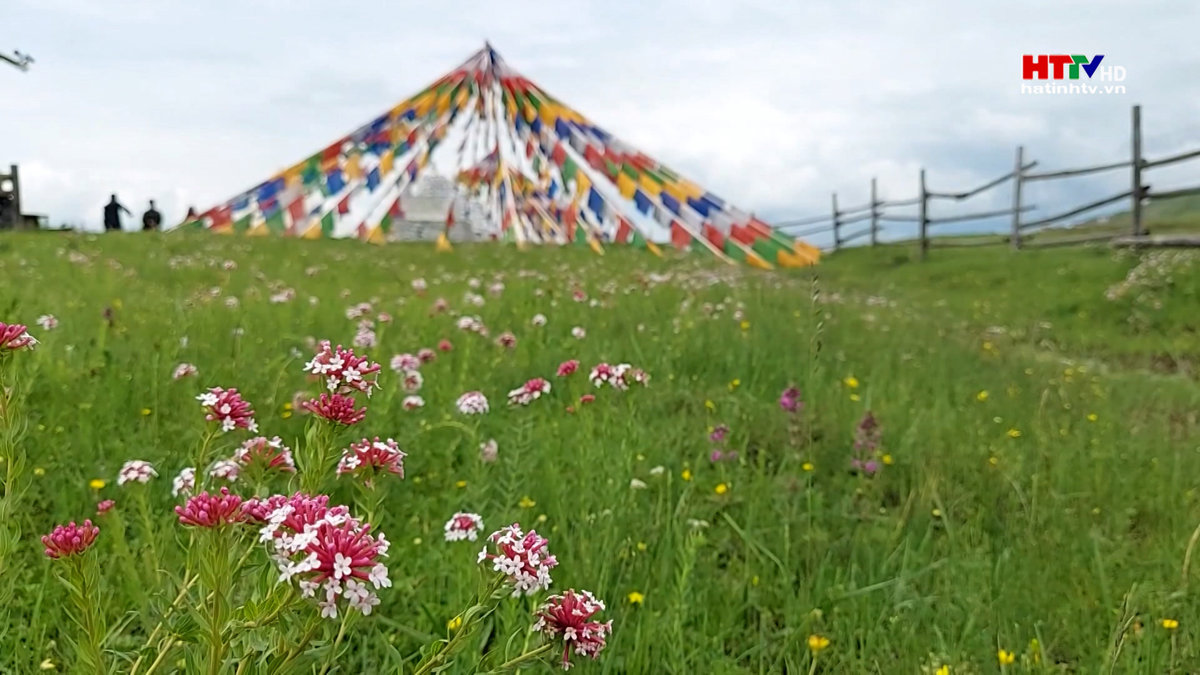 Vẻ đẹp quyến rũ ở thảo nguyên Cam Túc, Trung Quốc