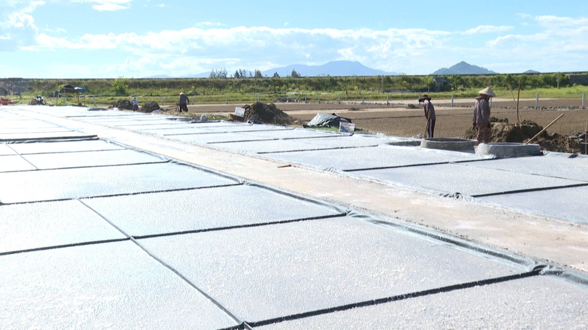 Sản xuất muối bằng phương pháp trải bạt