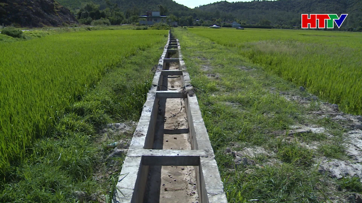 Kênh chính xuống cấp, hàng trăm ha  lúa ở Hồng Lộc khát nước