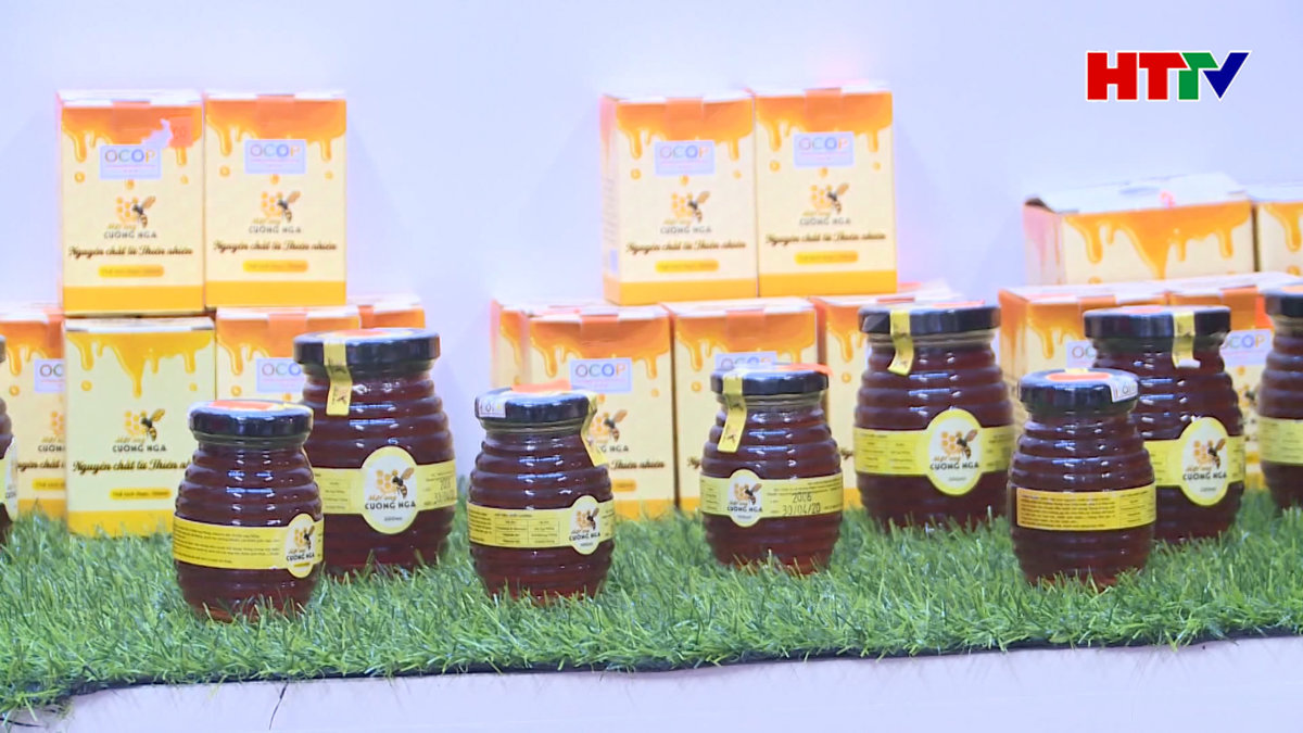 Hà Tĩnh có thêm 69 ý tưởng sản phẩm đủ điều kiện tham gia chương trình Ocop