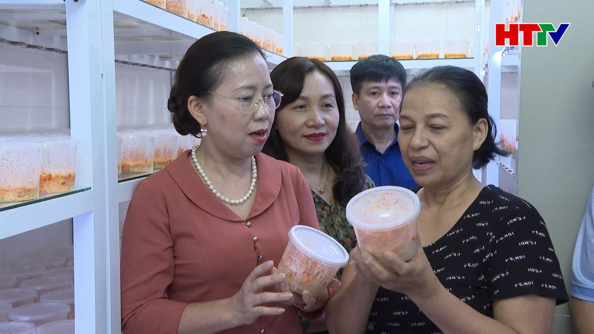 Nông dân Hà Tĩnh tích cực áp dụng chuyển đổi số