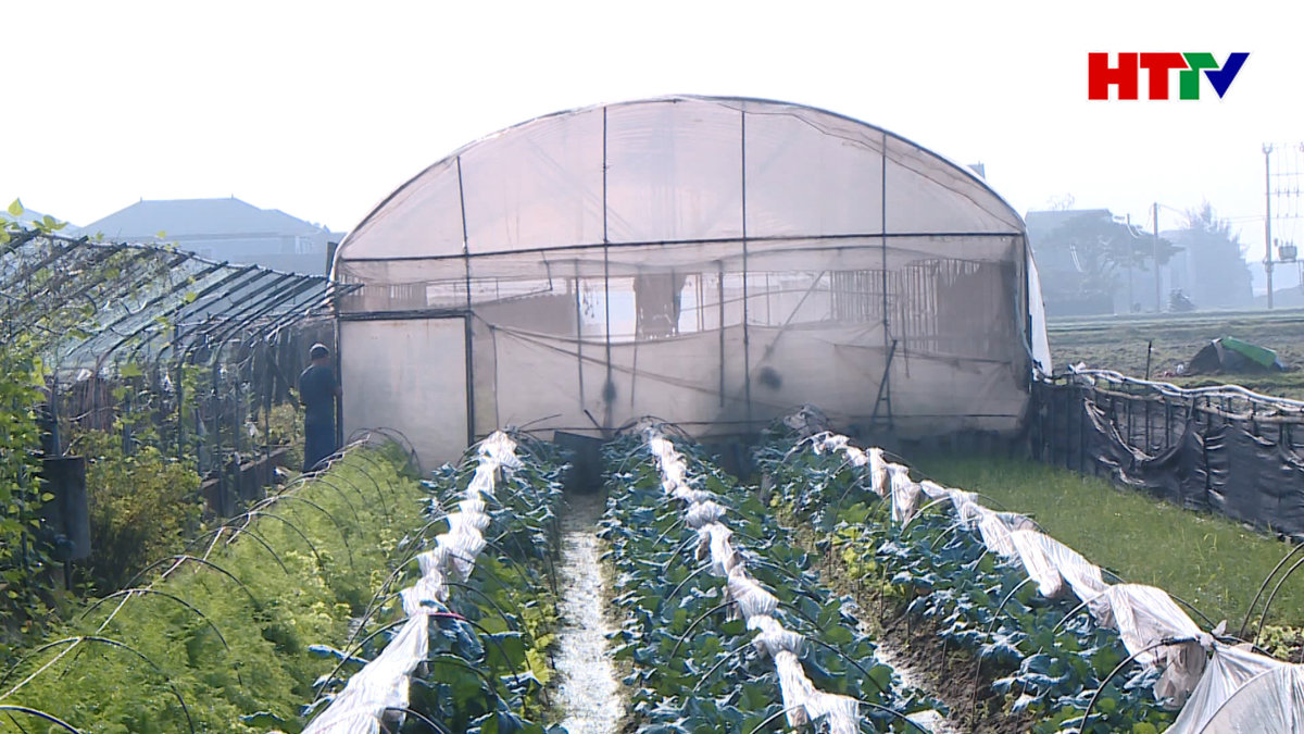 Phát triển nông nghiệp hữu cơ – những rào cản lấn át cơ hội