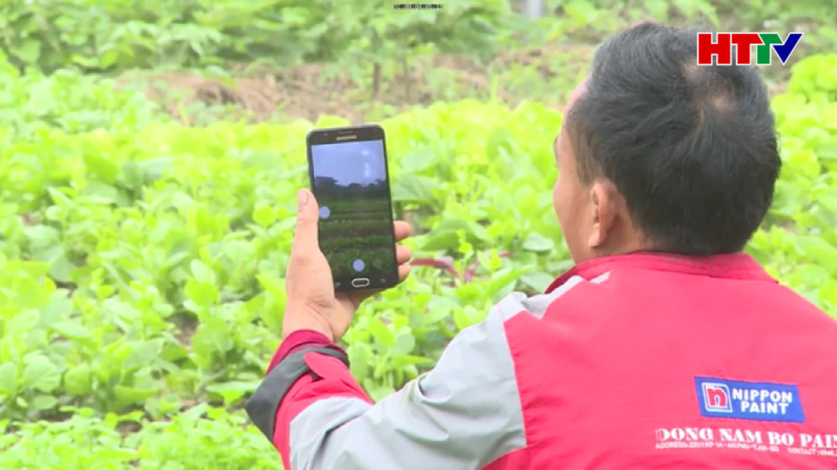 Nông nghiệp 4.0 hướng đi mới, hiệu quả cao