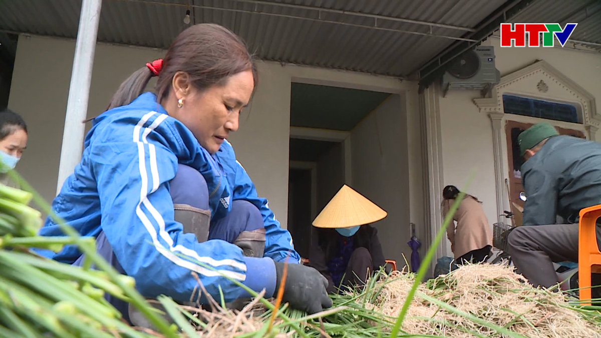 Nỗ lực gỡ khó cho tiêu thụ nông sản