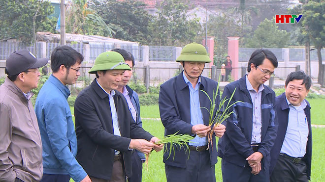  Phó Chủ tịch UBND tỉnh Đặng Ngọc Sơn kiểm tra tình hình sản xuất đầu năm