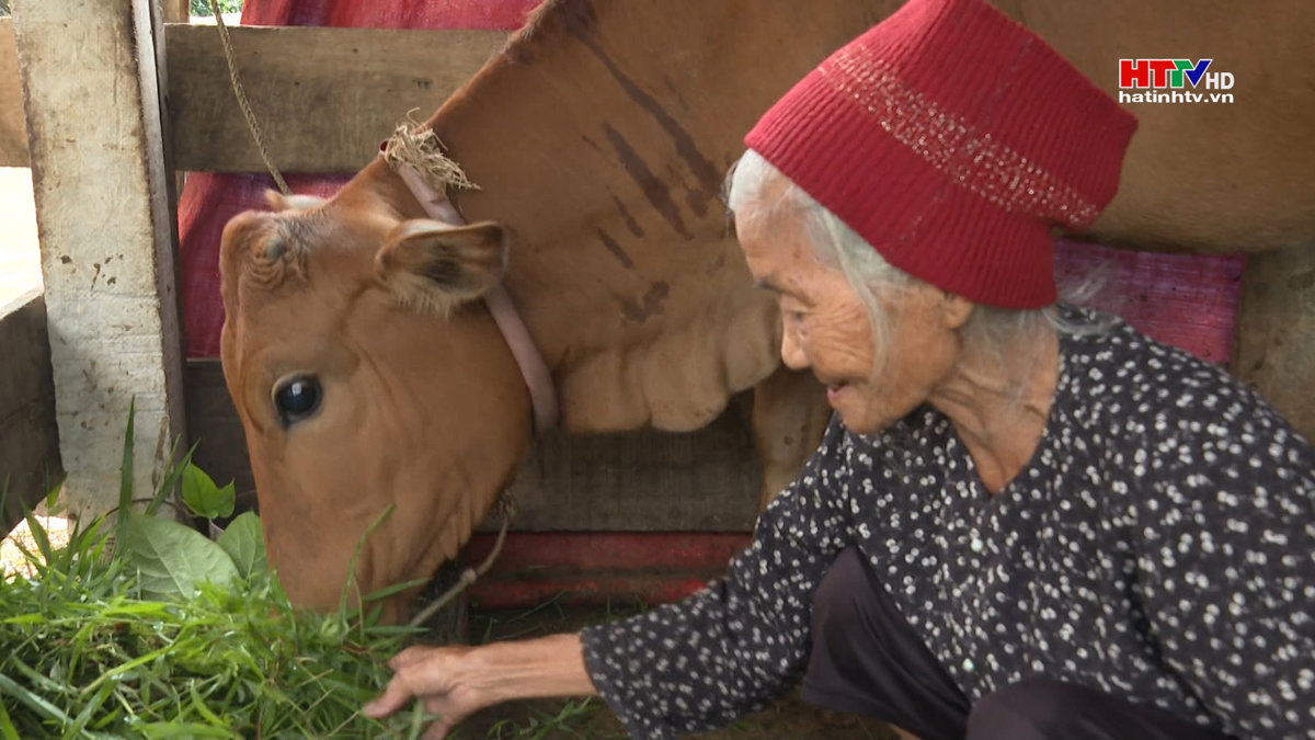Hà Tĩnh huy động gần 2,3 tỷ đồng hỗ trợ sinh kế cho người nghèo