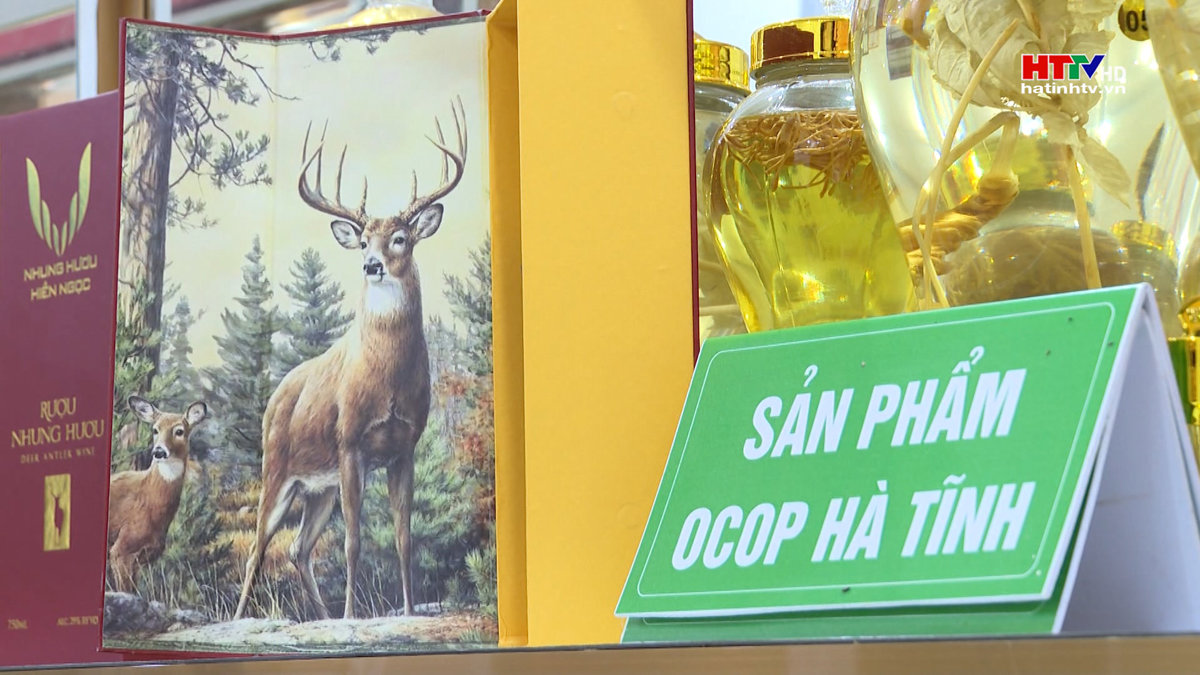 Hà Tĩnh phân bổ vốn xây dựng sản phẩm Ocop từ Nhung hươu