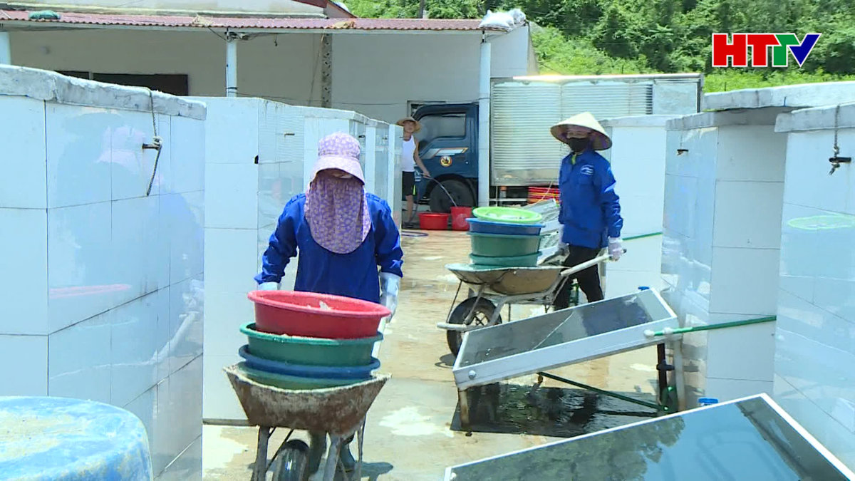 Rào cản nâng hạng sản phẩm Ocop