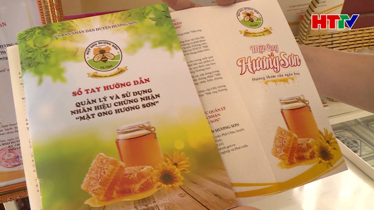 Cơ hội phát triển đàn ong Hương Sơn