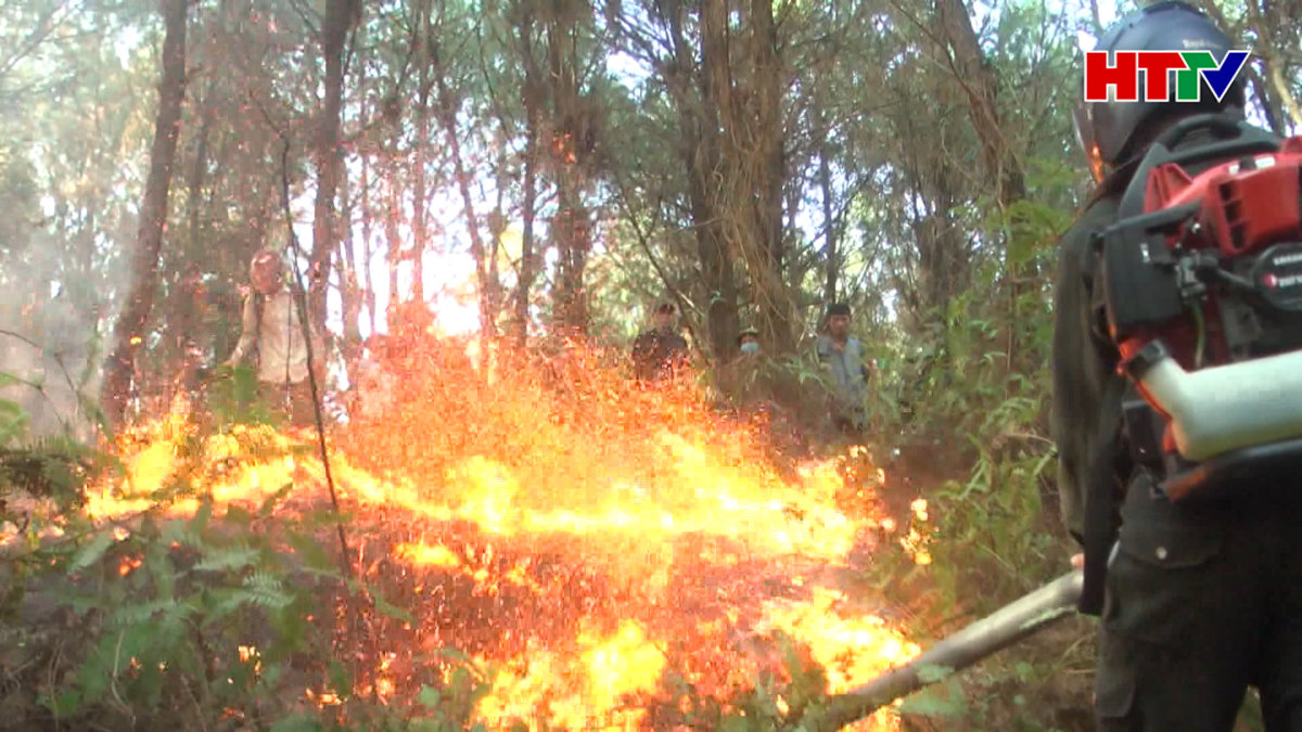 Nắng nóng, các địa phương lo phòng cháy chữa cháy rừng