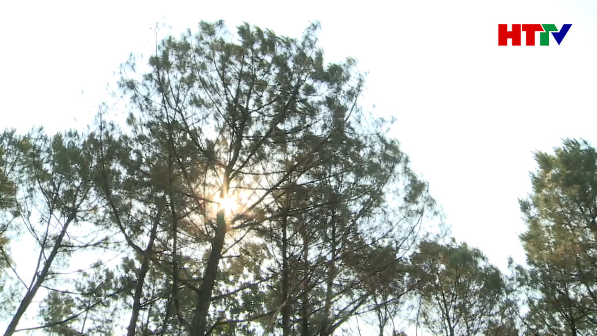 Lo "giữ rừng" trong mùa nắng nóng