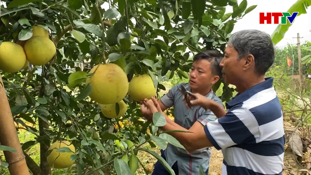 Hà Tĩnh có 23 chuỗi sản phẩm an toàn