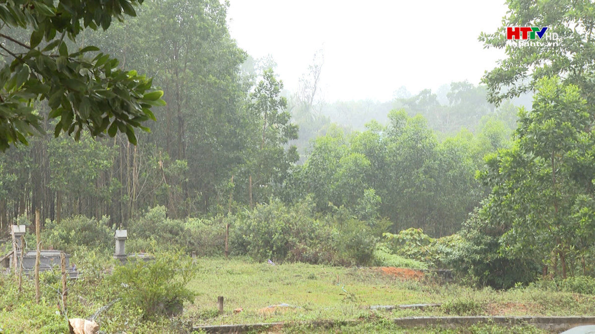 Ngang nhiên xẻ đất rừng bán làm nghĩa trang