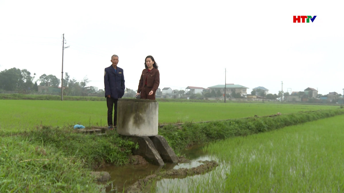 Giải pháp nào để bảo vệ đồng ruộng khỏi ô nhiễm trắng