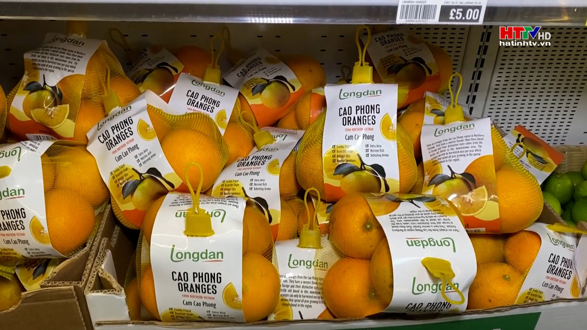Đặc sản cam Cao Phong ra mắt thị trường Anh
