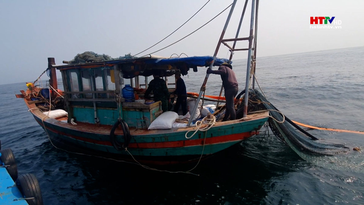 Liên tiếp bắt 8 phương tiện sử dụng dã cào đánh bắt hải sản sai quy định