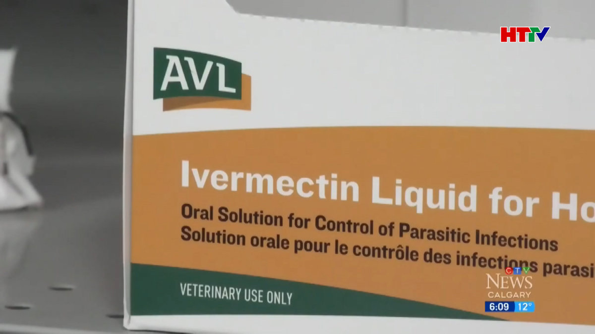 Tranh cãi về thuốc gia súc điều trị Covid-19