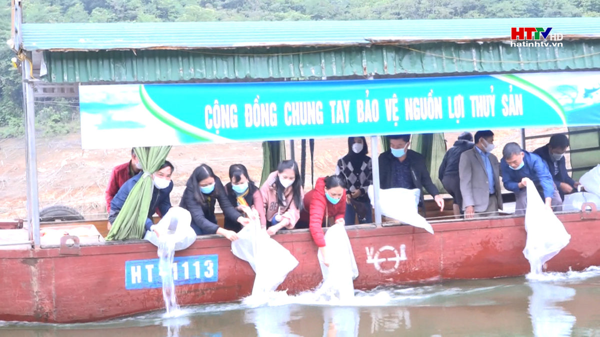 Chi cục thủy sản Hà Tĩnh thả 1,7 tấn cá giống