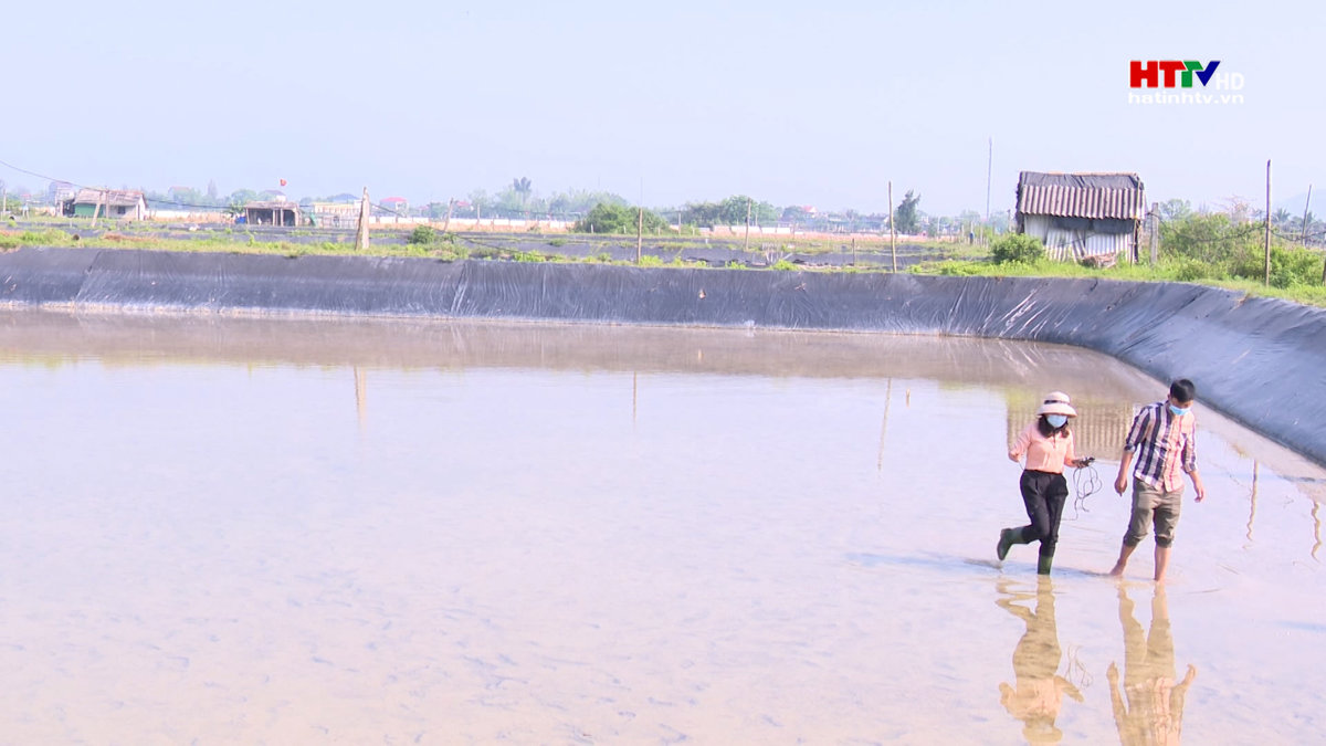 Môi trường nước vùng nuôi tôm tập trung, các chỉ số vượt ngưỡng