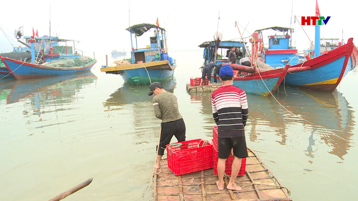 Rút BHXH một lần – Vì sao gia tăng