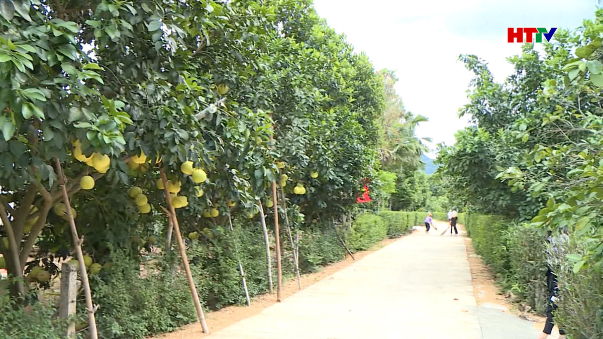 Xã NTM kiểu mẫu phải có ít nhất một mô hình thôn thông minh