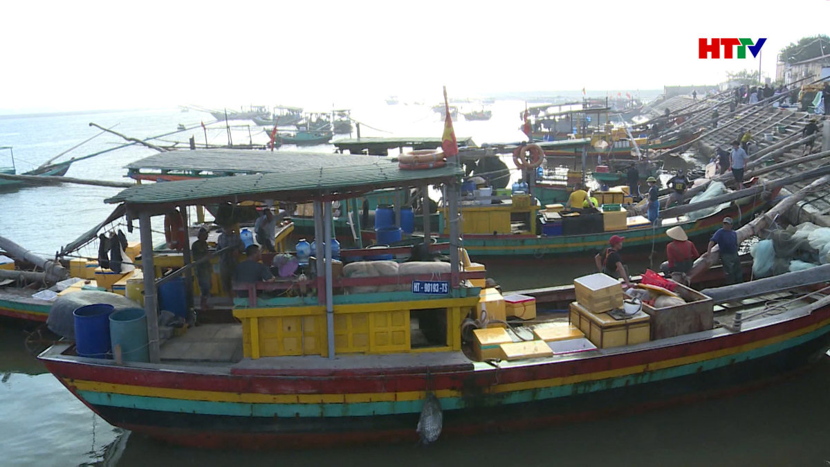Hà Tĩnh đã cấp mới gần 1000 giấy phép khai thác thủy sản cho ngư dân