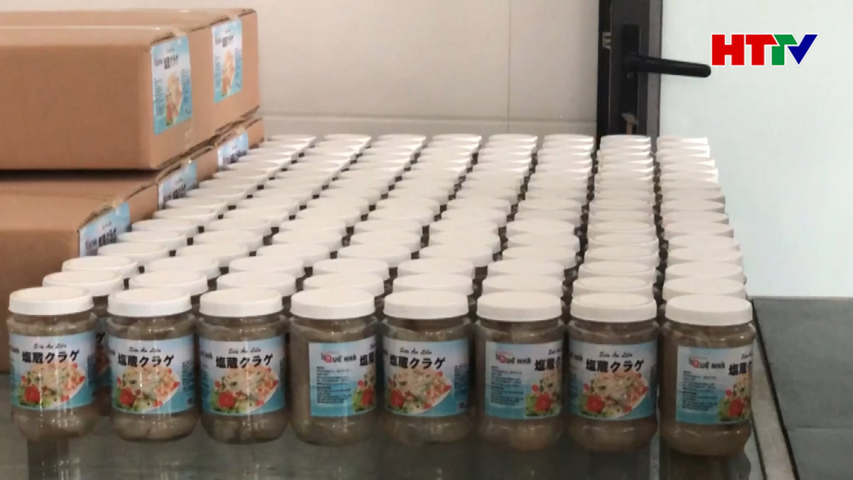 Sứa ép bãi ngang Thạch Hà tiếp cận thị trường Nhật Bản