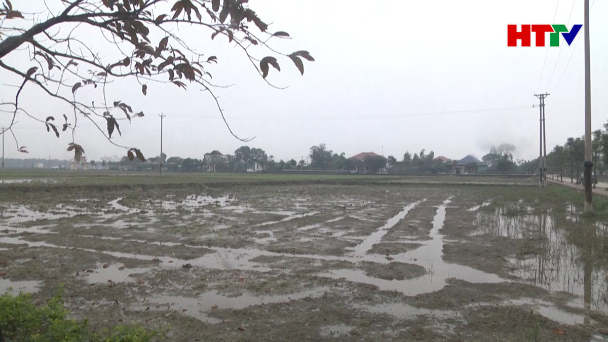 Thạch Hà triển khai đồng bộ mô hình cơ giới hóa sản xuất